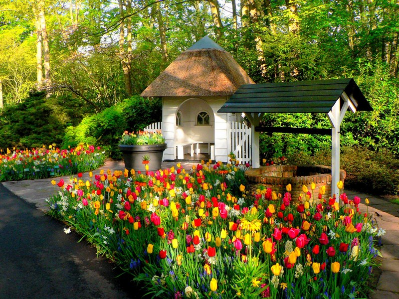 Vườn hoa Keukenhof - Hà lan